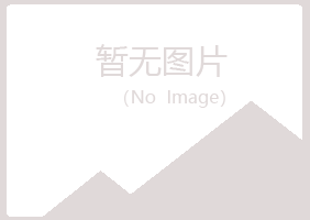 上海晓夏水泥有限公司